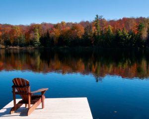 Feature-Fall-Cottage-Life-Show